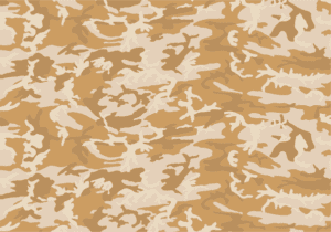 DPM camouflage reference pattern
