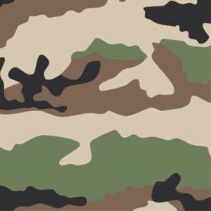 F2 CCE camouflage reference pattern