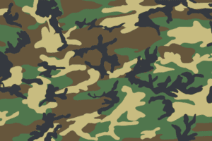 M81 Woodland camouflage reference pattern